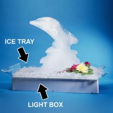 Rental store for ICE SCUPTURE LIGHT BOX in Spartanburg SC