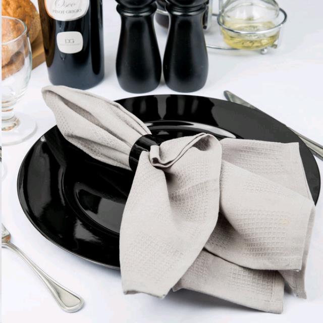 Rental store for CHARGER, 13  BLACK PLASTIC in Spartanburg SC