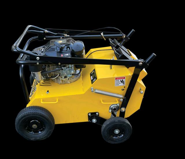 Rental store for AERATOR GAS 25  WALK BEHIND in Spartanburg SC